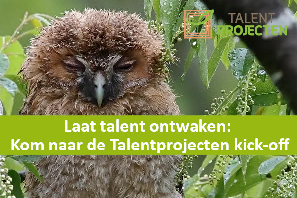 Laat talent ontwaken: Aan de slag met Talentprojecten