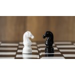 Algemene introductie cognitief talent